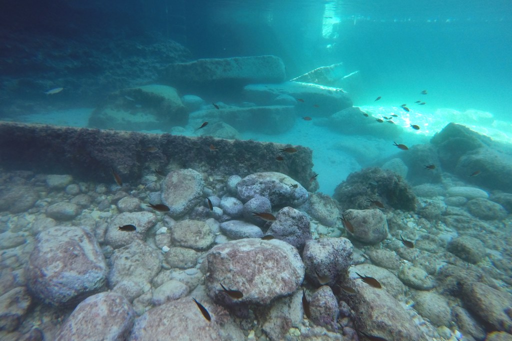 Kaloja ja kivilohkareita