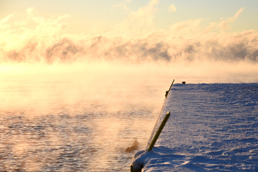 Sorsaperhe aamu-uinnilla pakkasessa