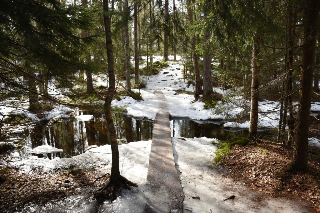 Pitkospuita Korpinkierroksella