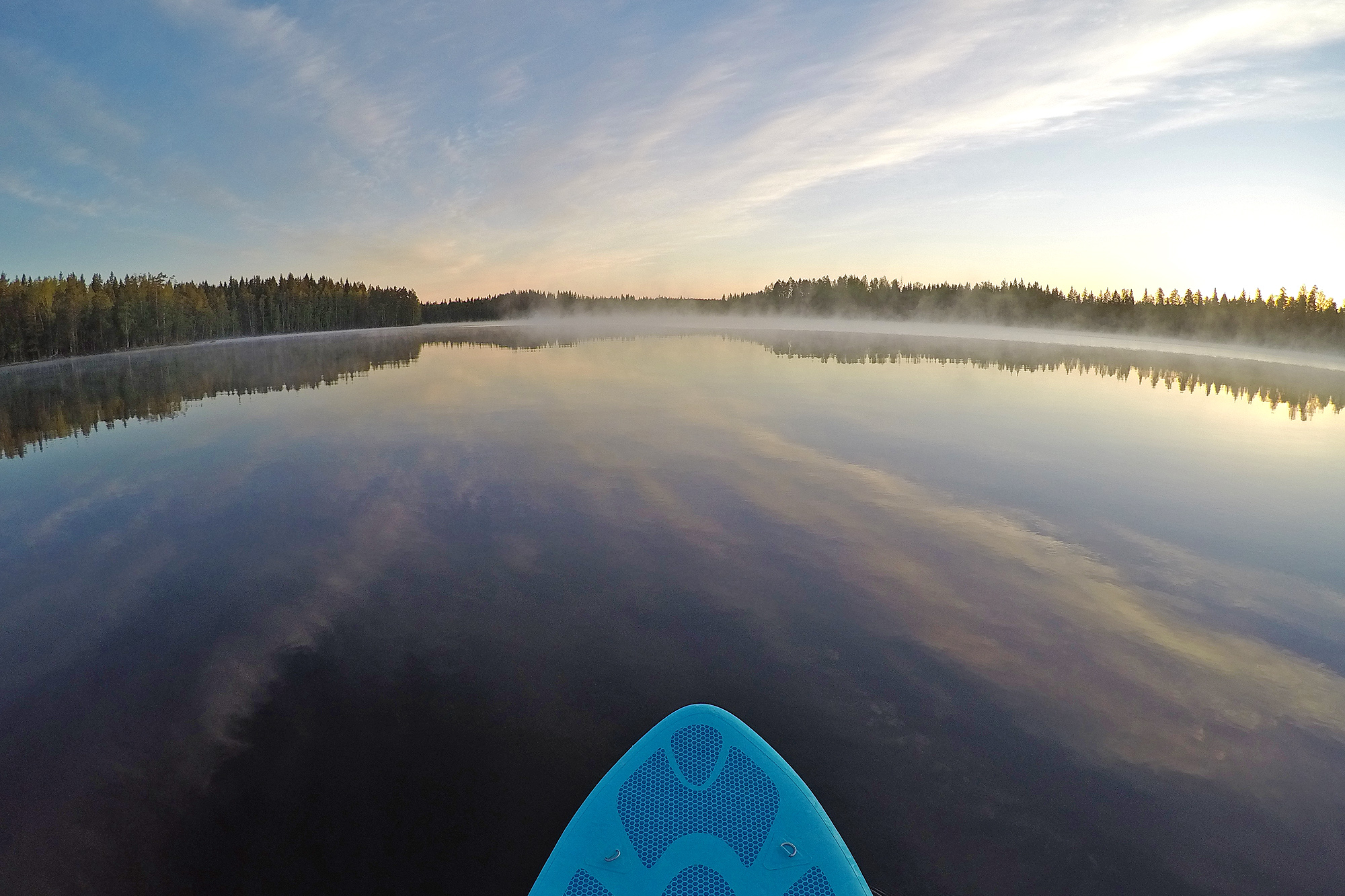 Suppailua aamusumussa