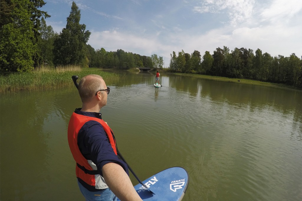 Fanatic Fly Soft Top 2017