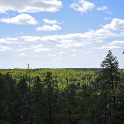 Maahisenkierros ja Meerlammen lippaluola Nuuksiossa