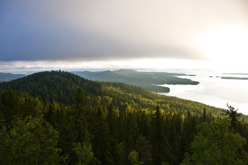 Aamun valo Ukko-Kolin huipulla