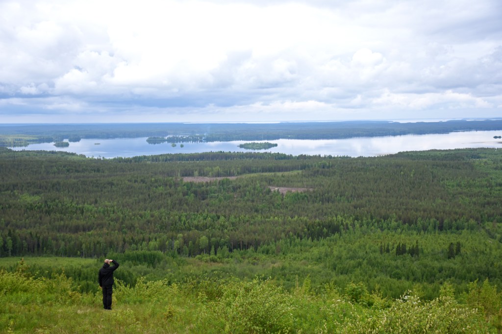 Näkymä Kivesvaaran huipulta