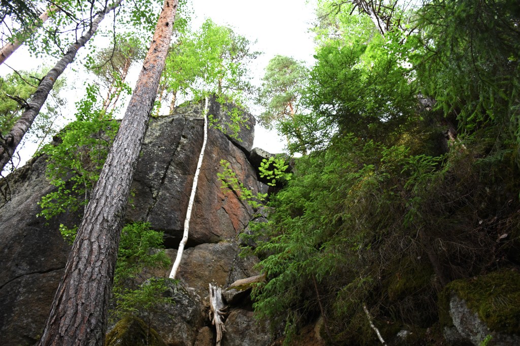 Karoliinanportaat alhaalta