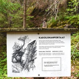 Karoliinanportaat Viitasaaressa