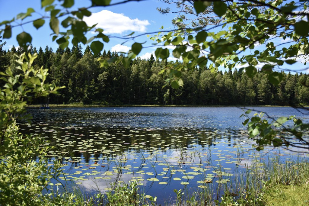 Bisajärvi Sipoonkorvessa