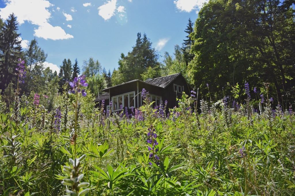 Sipoonkorpi autiotalo