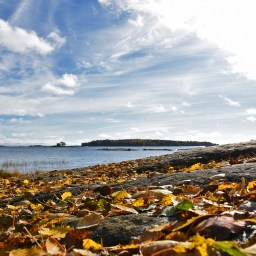 Syysaurinkoa ja ruskan värejä Lauttasaaressa