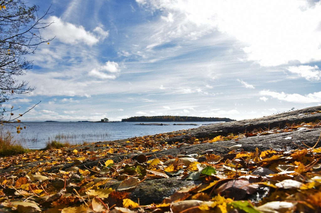 Lakastuneita lehtiä Lauttasaaressa