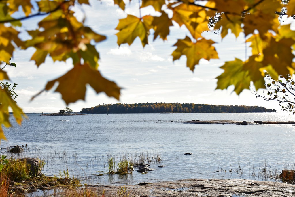 Ruskan väreja Lauttasaaressa