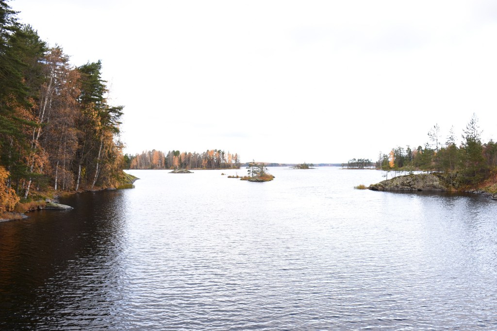 Savonlinna Verkkosaari