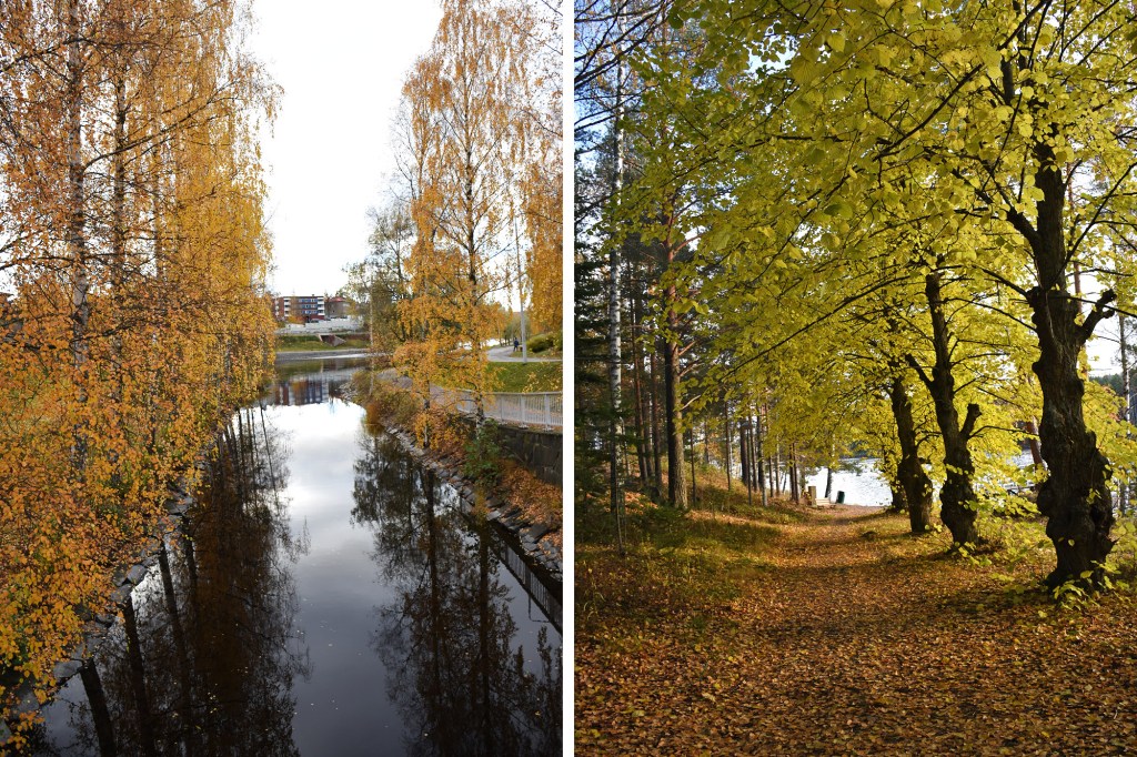 Syksyn lehdet Savonlinna