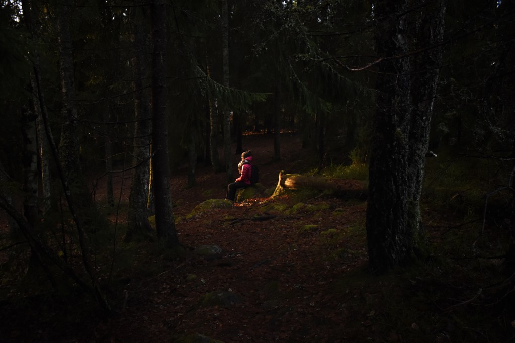 Auringonlaskun viimeiset säteet