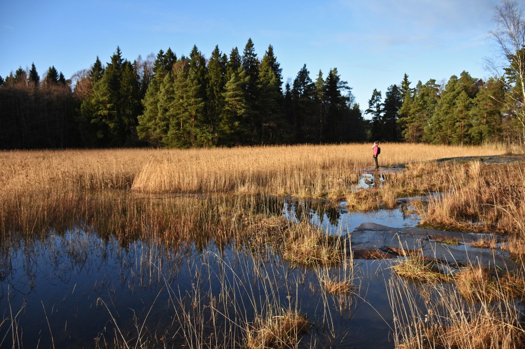 Aurinkoinen Hanikan levähdyspaikka