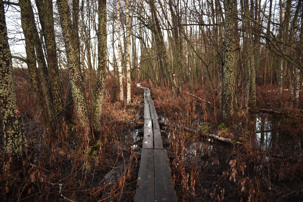 Pitkospuut Kaitalahdella