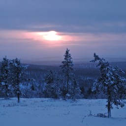 Hiljentyminen jouluun