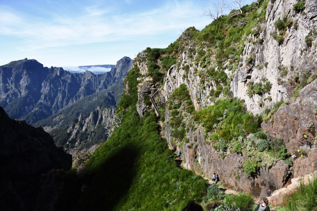 Matkalla Pico ruivolle