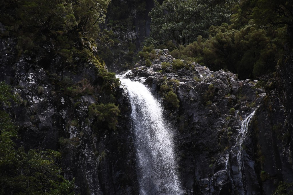 Riscon putous läheltä