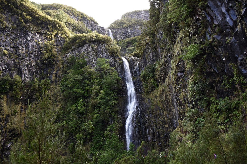 Riscon putous Madeira