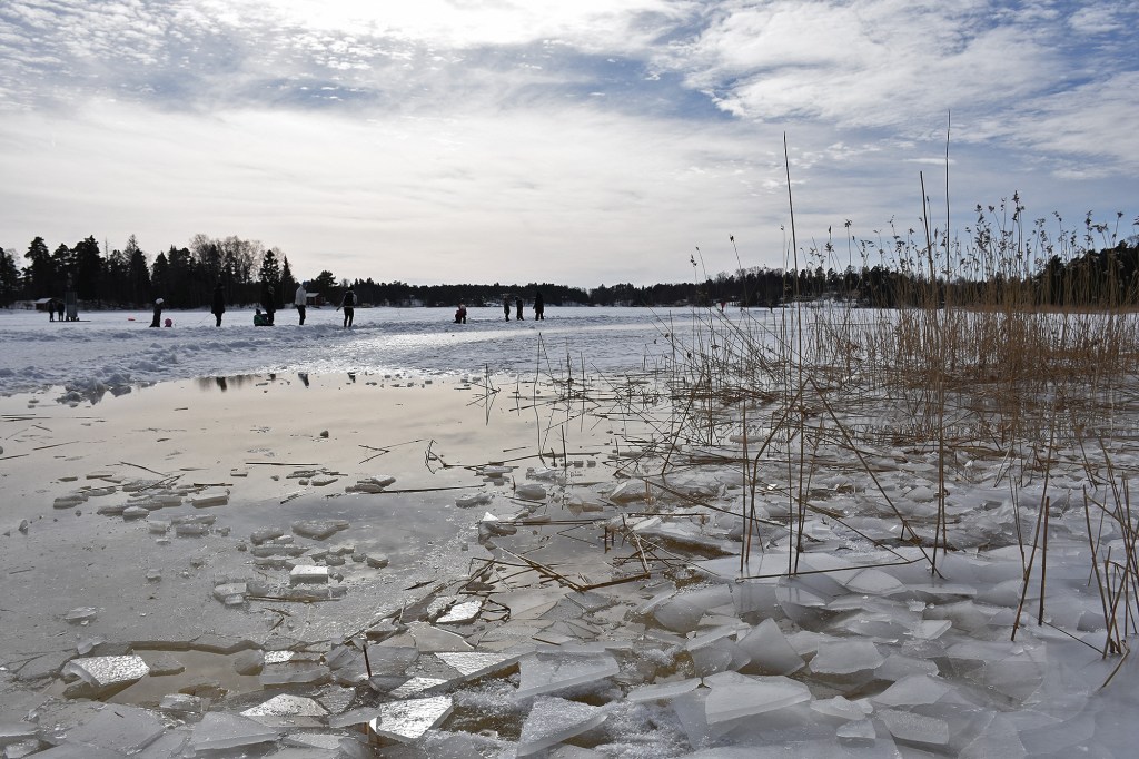 Hanikan uimaranta talvella
