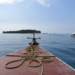 Vierailu Sansibarin Prison Islandilla, eli Changuu-saaressa