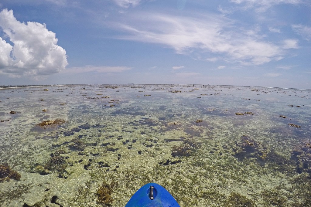 Suppailua laskuveden aikaan Sansibarilla