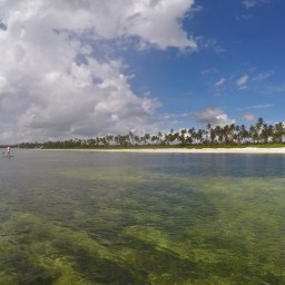 Video: suppailua Sansibarin paratiisimaisemissa