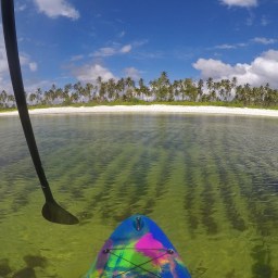 Suppailua ja meritähtien bongailua Sansibarissa