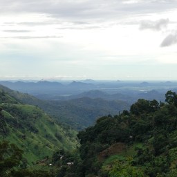 Äidilleni, jolta sain rakkauden valokuvaamiseen