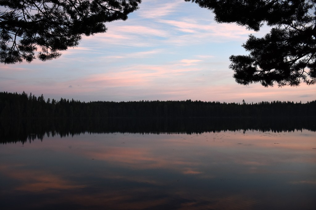 Värikäs taivas puiden välistä