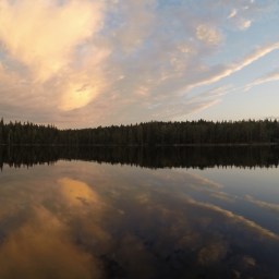 Vuosi 2018 paketissa, miltä ensi vuosi näyttää?