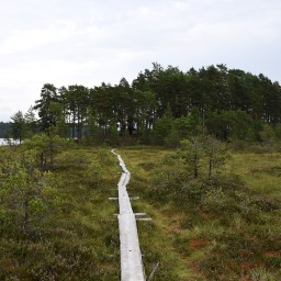 Viikonloppupatikointi Teijon kansallispuistossa