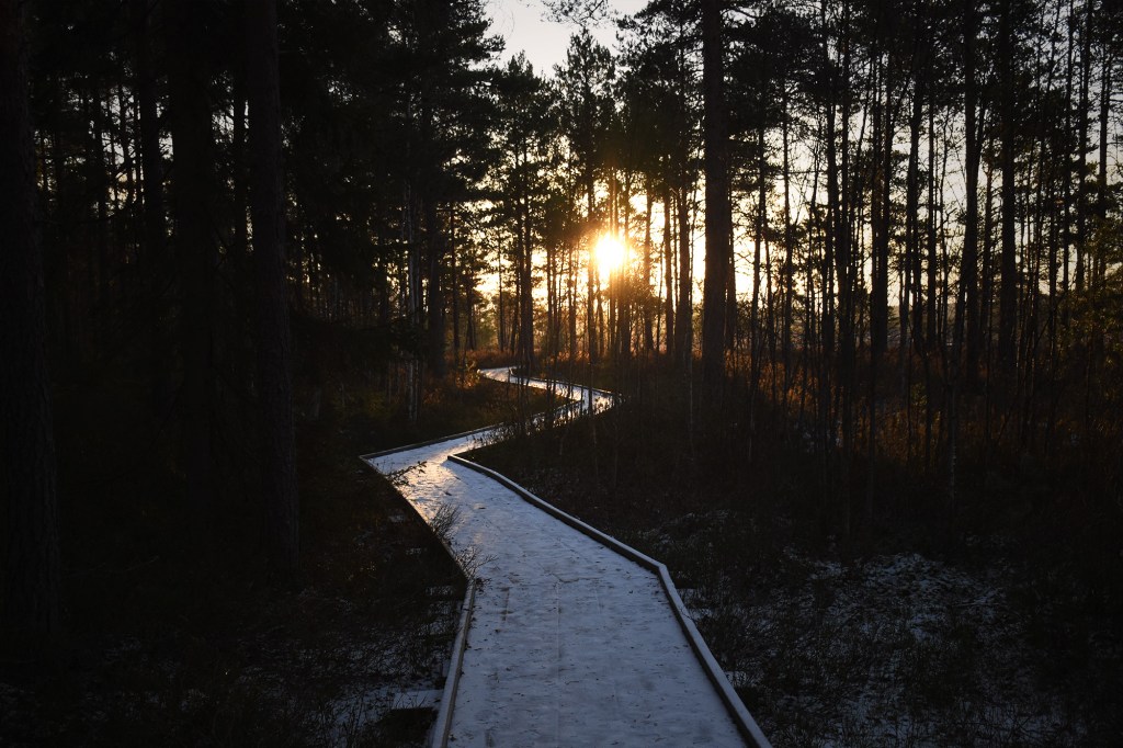 Pitkostettu reitti auringonnousun aikaan