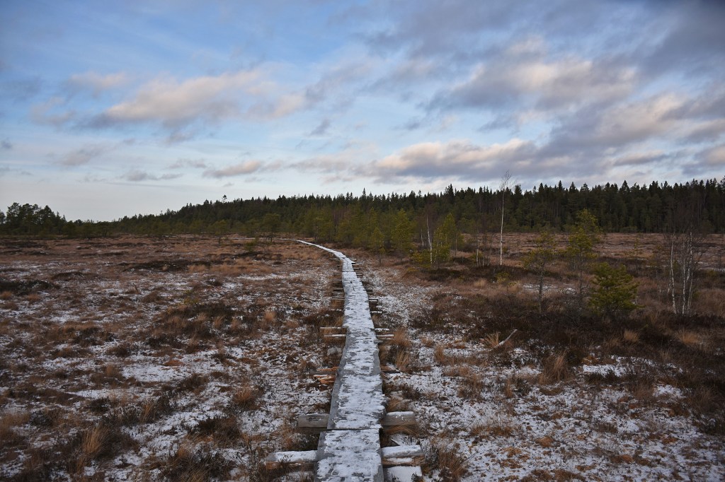 Torronsuon pitkospuita