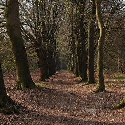 Utrechtse Heuvelrugin kansallispuisto – Luontohelmi keskellä Alankomaita