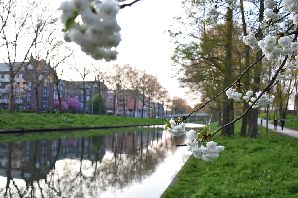Tyyni ja keväinen Stadsbuitengracht