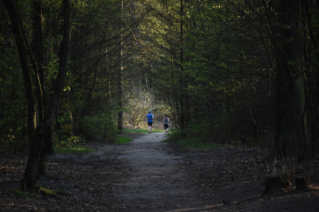 Juoksijoita Utrechtse Heuvelrugin kansallispuistossa