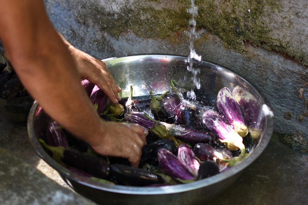 Munakoisojen huuhtelu