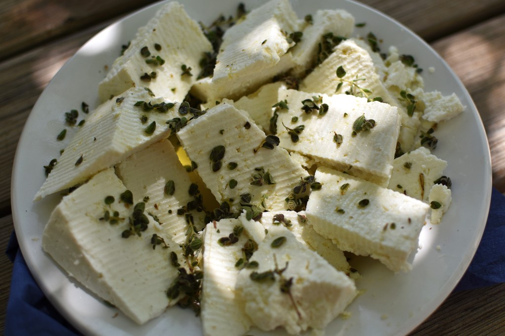 Oreganolla ja oliiviöljyllä maustettu vuohenjuusto