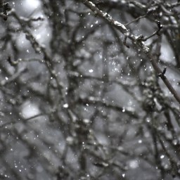 Talvi tuli hetkeksi takaisin Espooseen