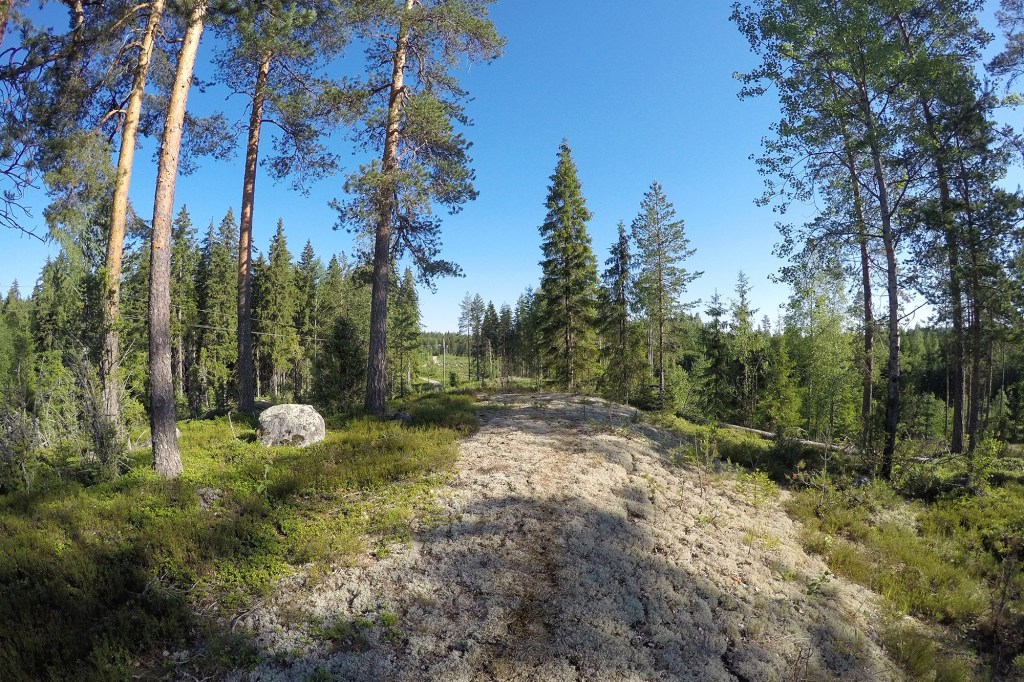 Mökkipatikoinnin taukopaikka