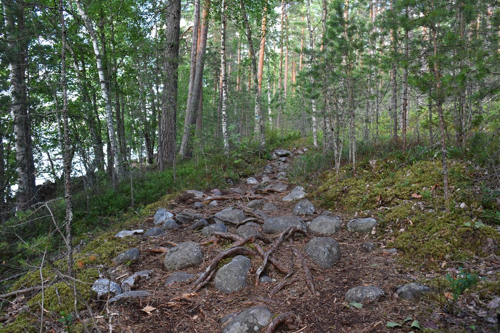 Kiviä ja juuria Harjupolulla