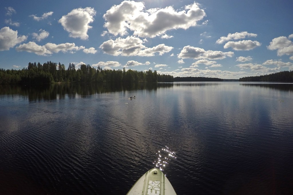 Kuikkapariskunnan seurana SUP-retkellä