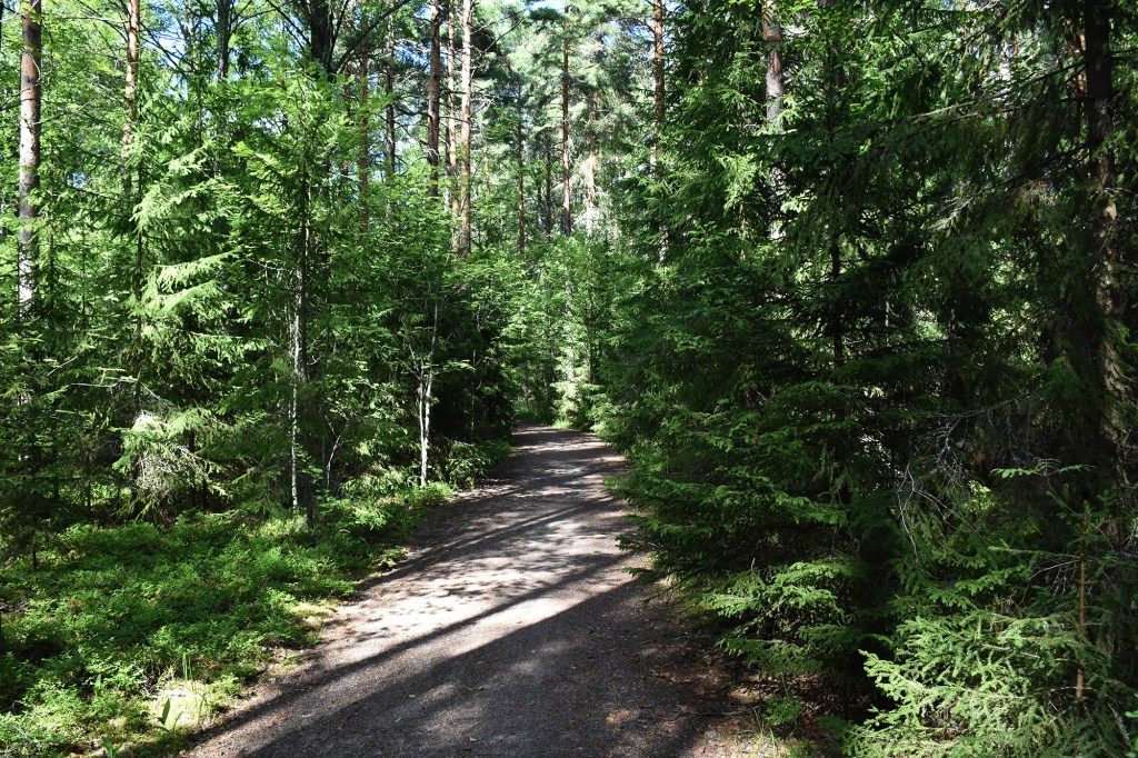 Metsätie Pulkkilanharjulla