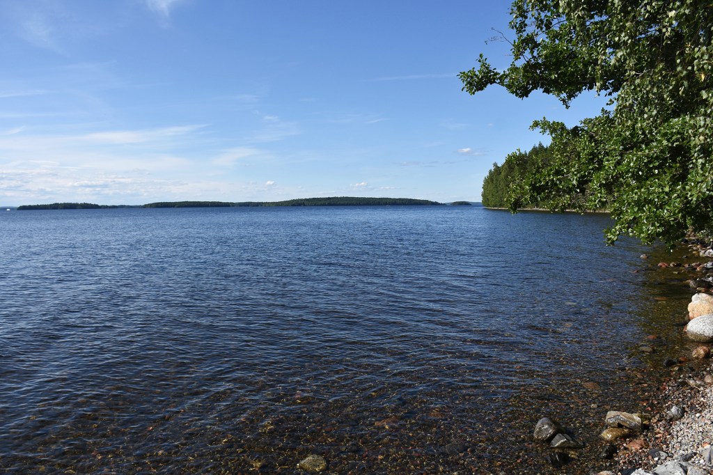 Päijänteen rantaviivaa Pulkkilanharjulla