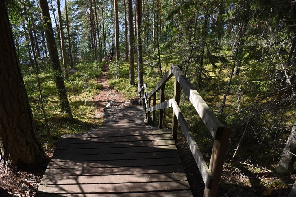 Portaat Pulkkilanharjun luontopolulla