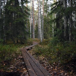 Olarin terveysluontopolku Espoon keskuspuistossa