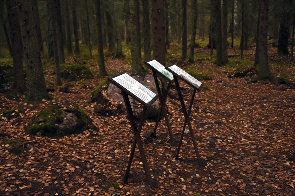 Olarin terveysluontopolun rastipiste