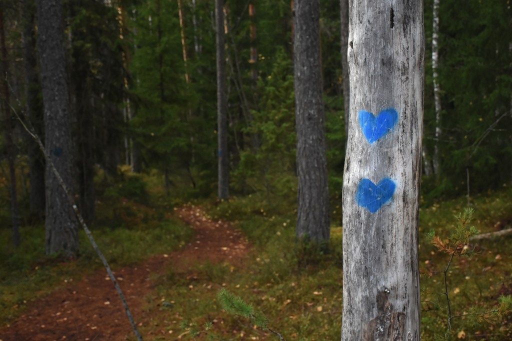 Olarin terveysluontopolun reittimerkki